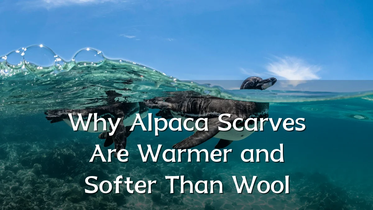 Why Alpaca Scarves Are Warmer and Softer Than Wool
