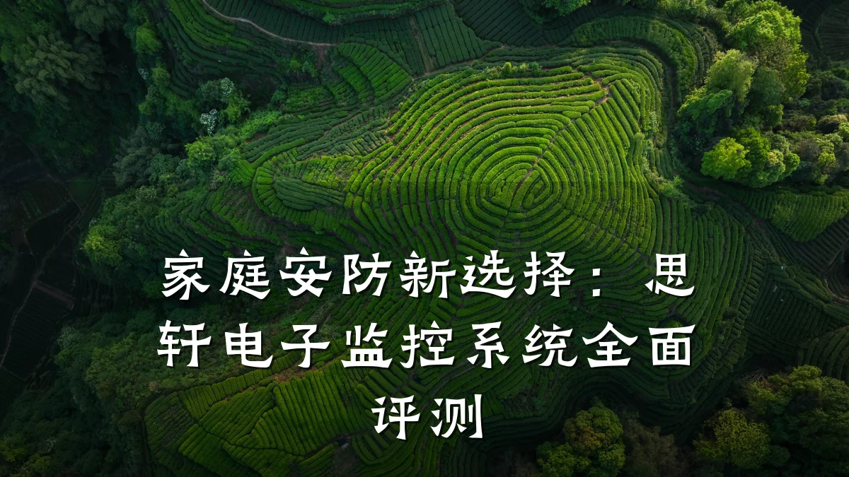家庭安防新选择：思轩电子监控系统全面评测