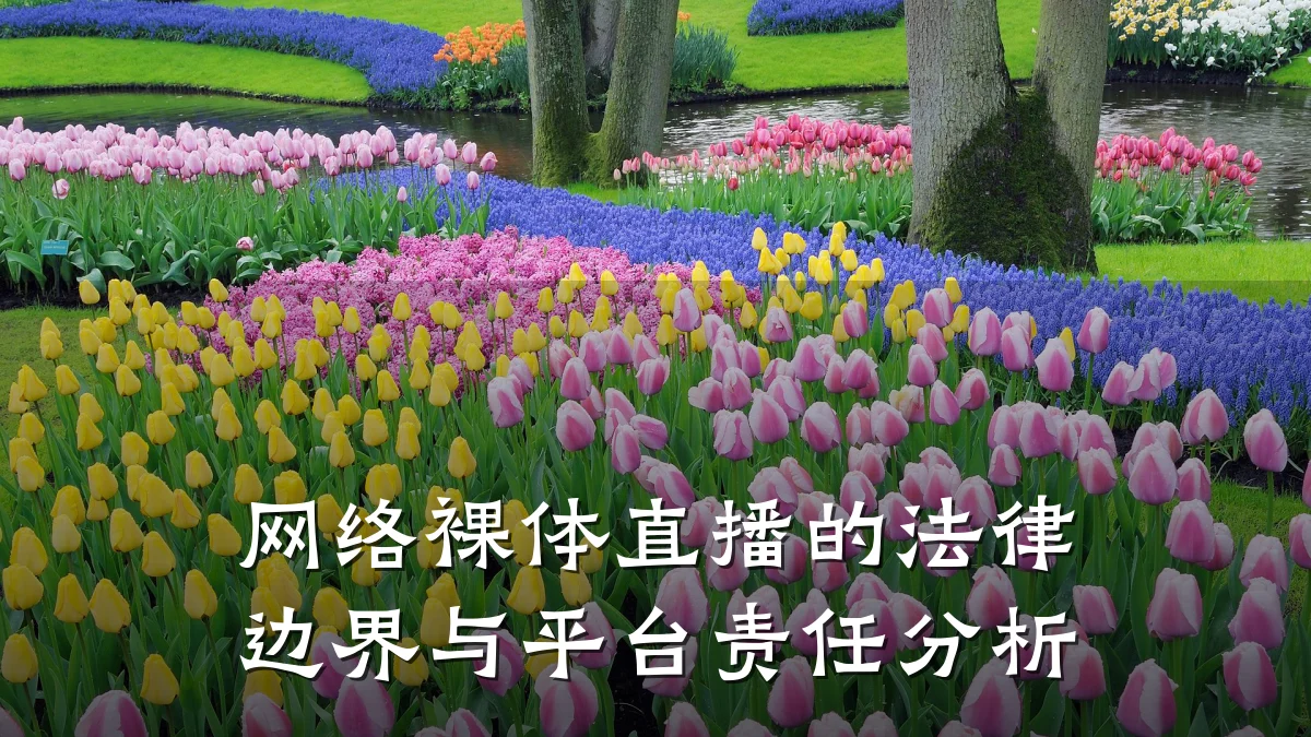 网络裸体直播的法律边界与平台责任分析