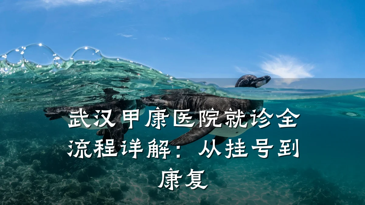 武汉甲康医院就诊全流程详解:从挂号到康复