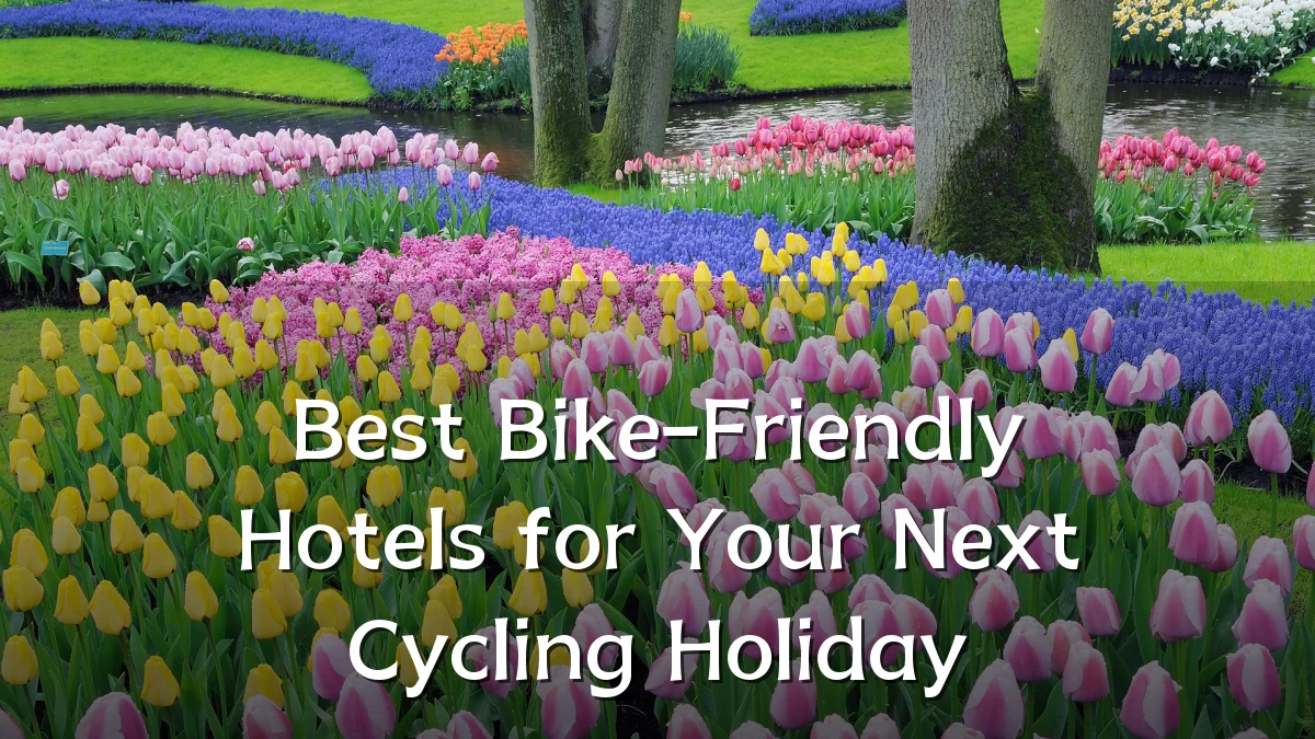Best Bike-Friendly Hotels for Your Next Cycling Holiday