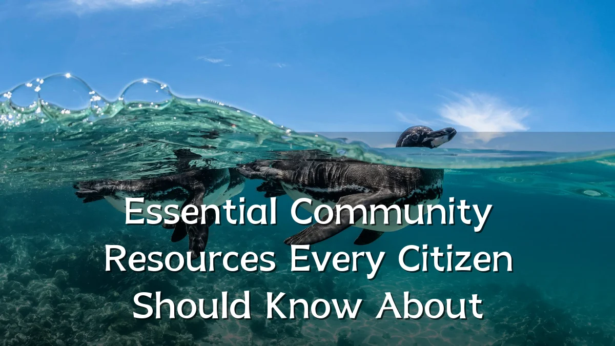 Essential Community Resources Every Citizen Should Know About