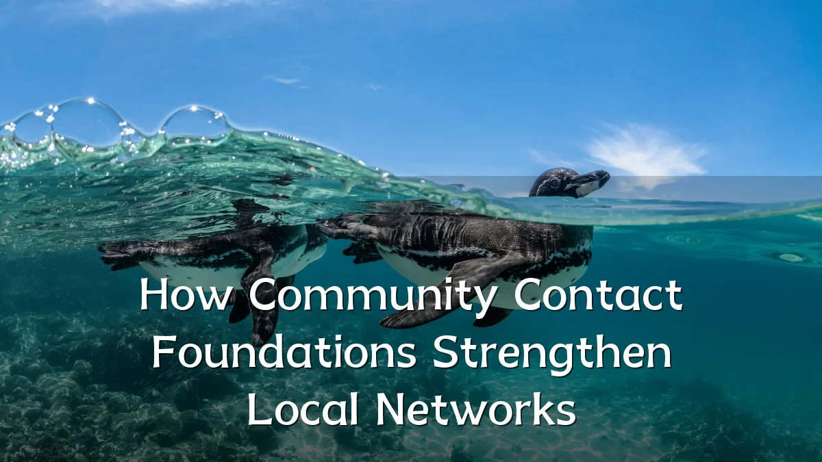 How Community Contact Foundations Strengthen Local Networks