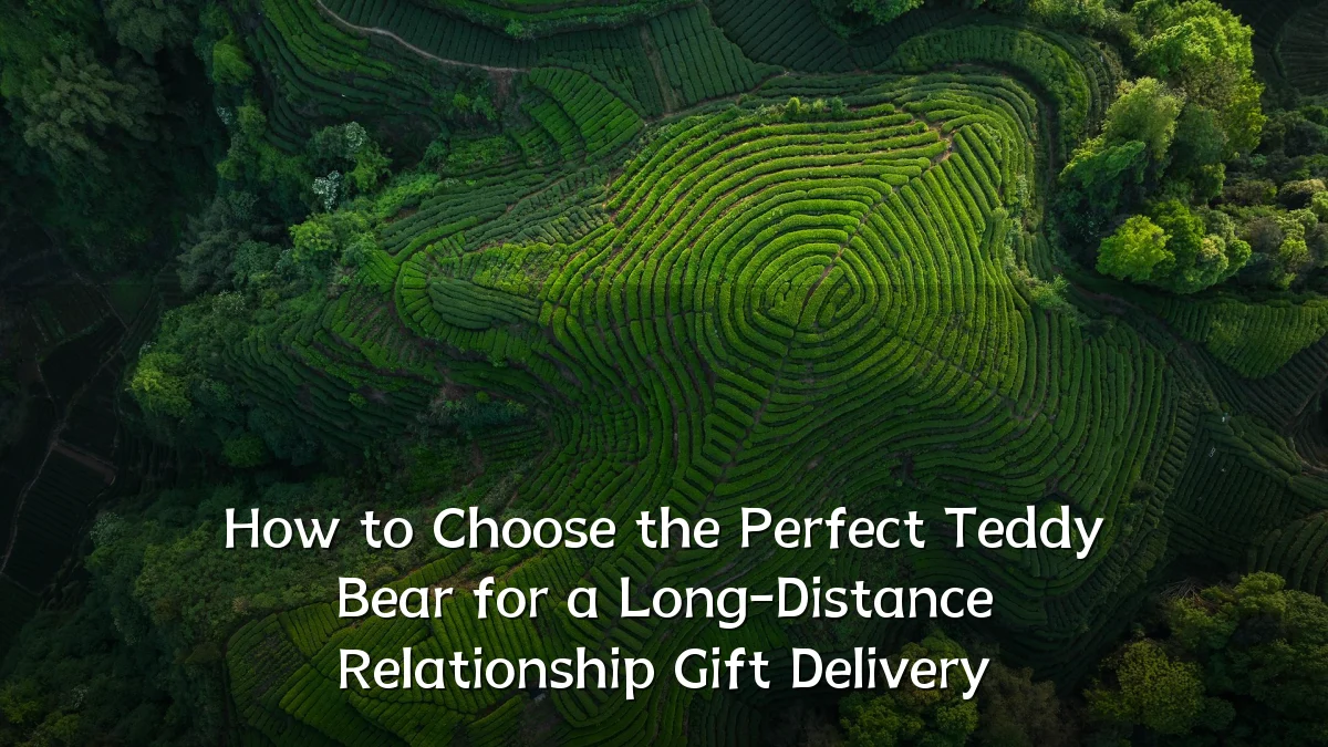 How to Choose the Perfect Teddy Bear for a Long-Distance Relationship Gift Delivery