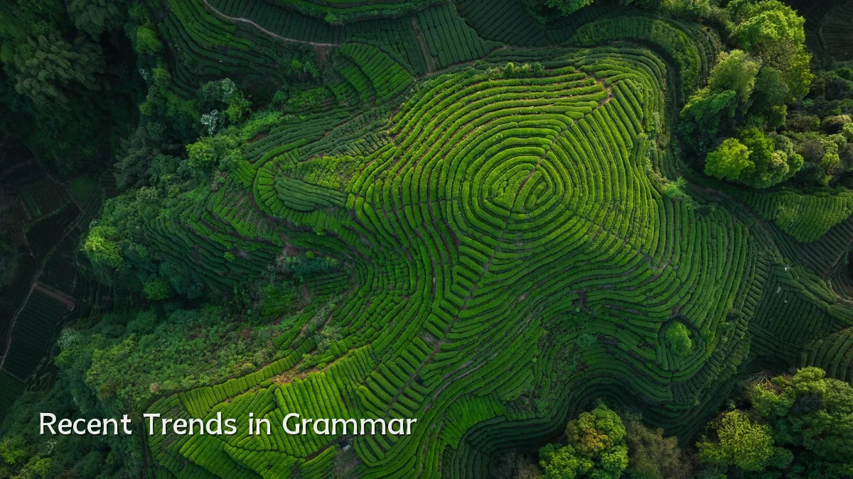 Recent Trends in Grammar