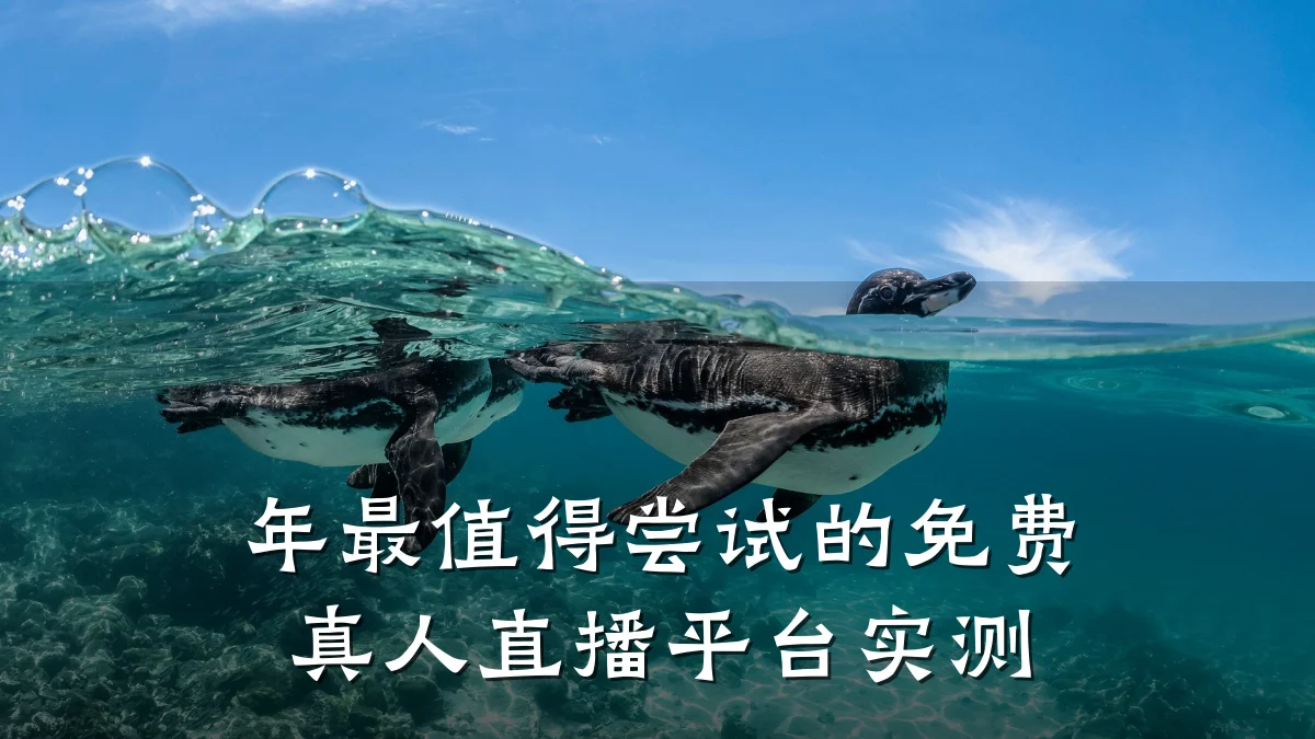 年最值得尝试的免费真人直播平台实测