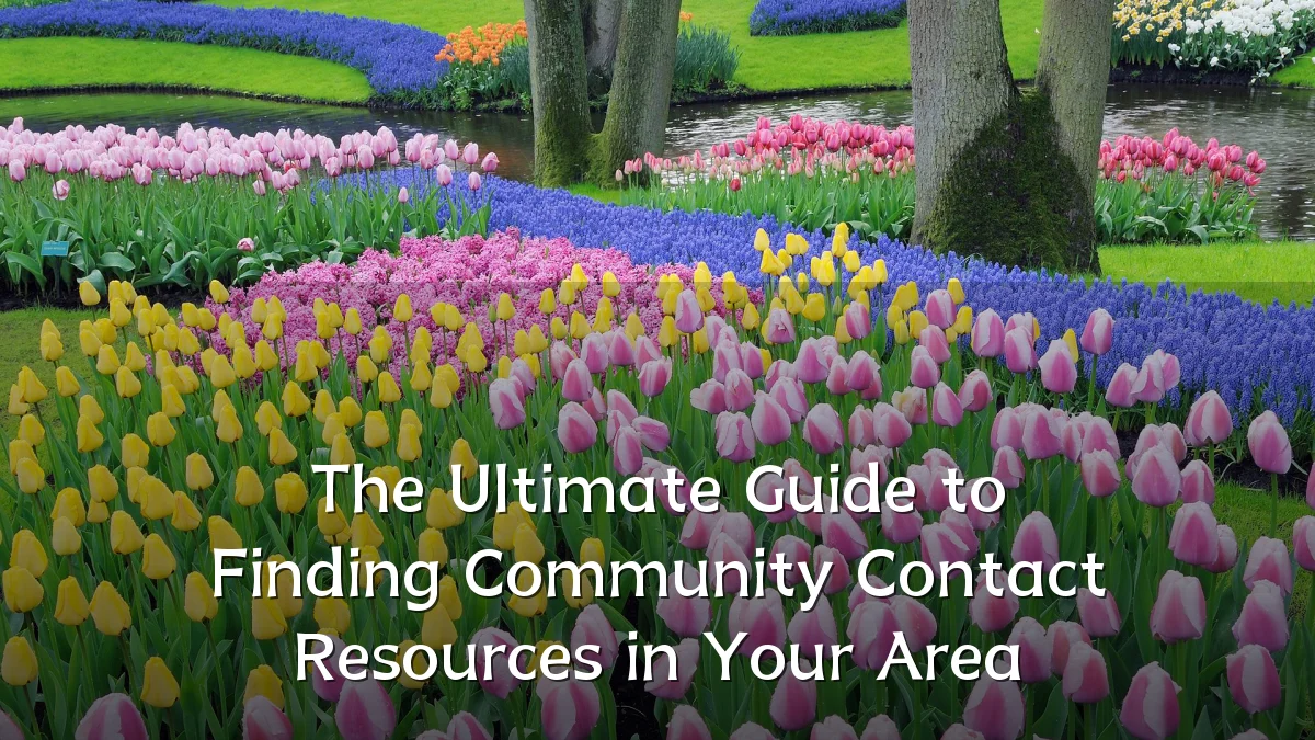 The Ultimate Guide to Finding Community Contact Resources in Your Area