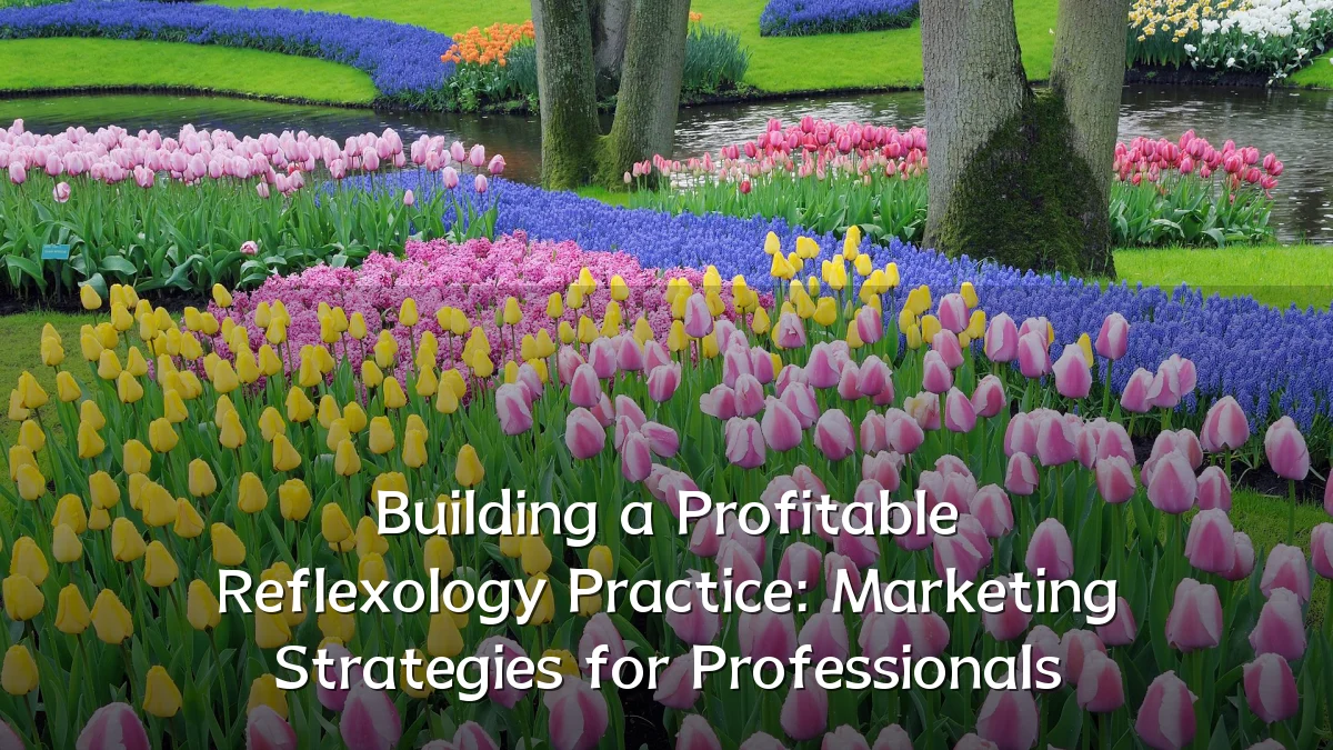 Building a Profitable Reflexology Practice: Marketing Strategies for Professionals
