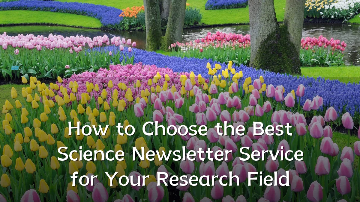 How to Choose the Best Science Newsletter Service for Your Research Field