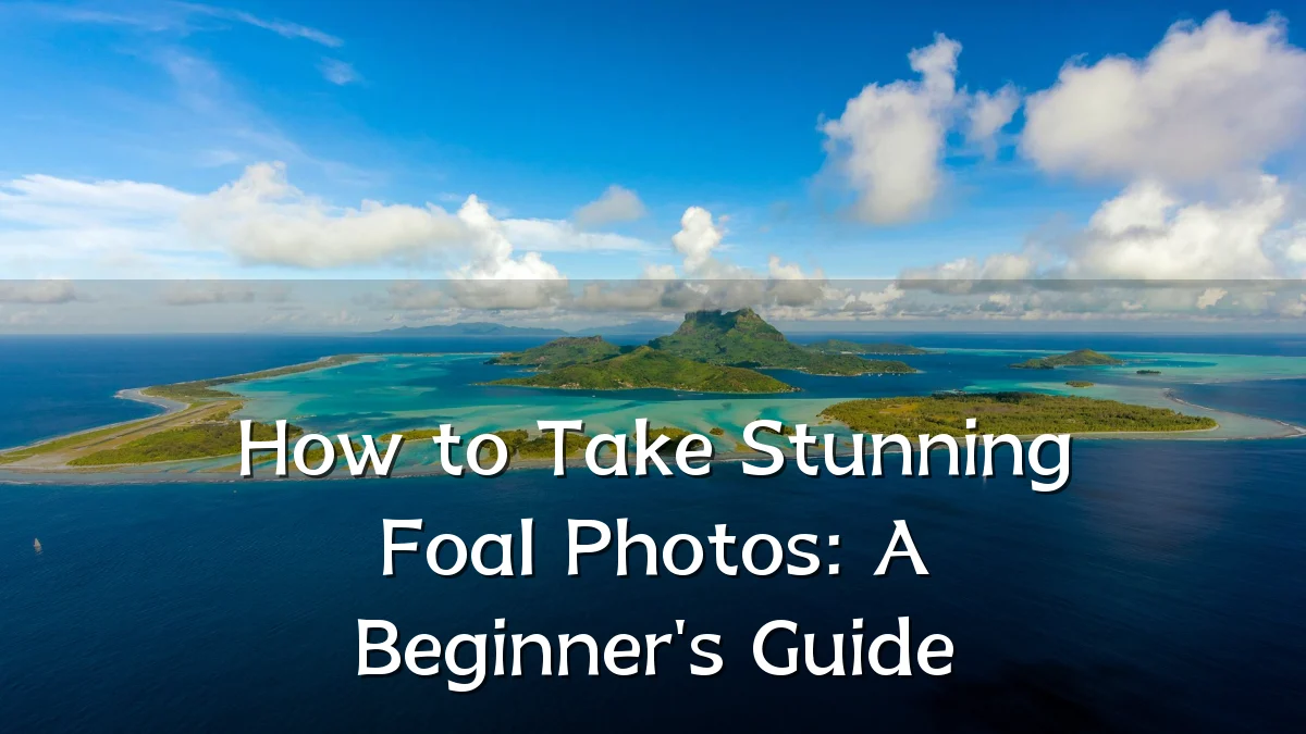 How to Take Stunning Foal Photos: A Beginner's Guide
