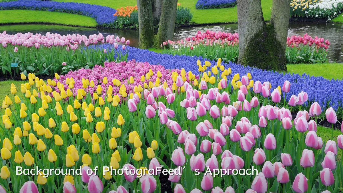 Background of PhotograFeed’s Approach