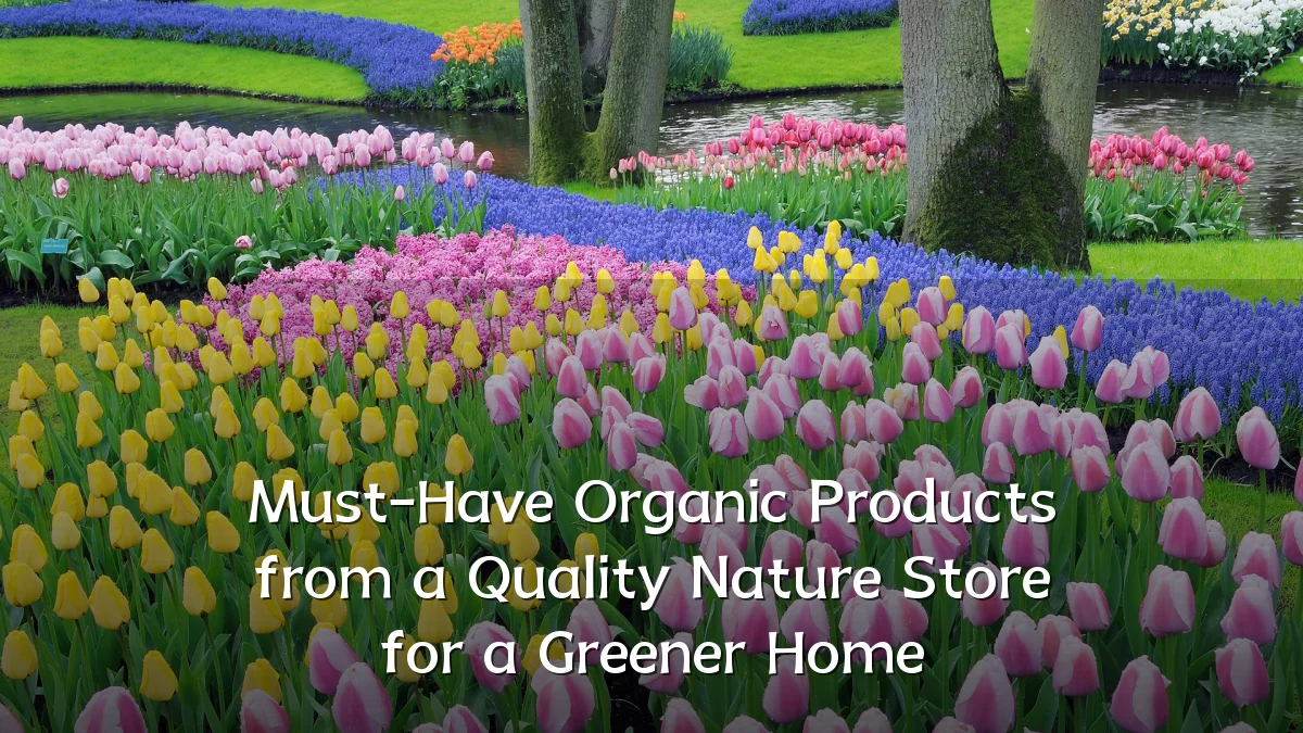Must-Have Organic Products from a Quality Nature Store for a Greener Home