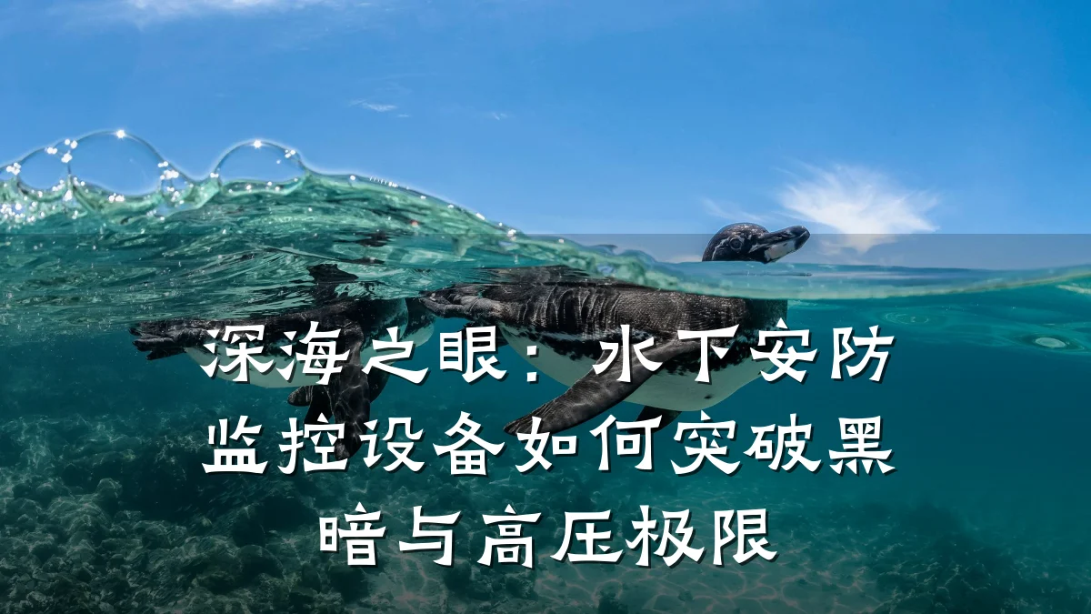 深海之眼：水下安防监控设备如何突破黑暗与高压极限