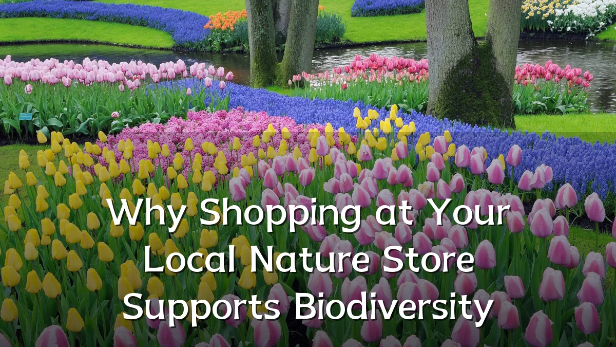 Why Shopping at Your Local Nature Store Supports Biodiversity