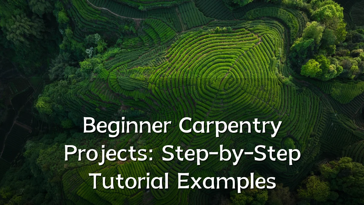 Beginner Carpentry Projects: Step-by-Step Tutorial Examples
