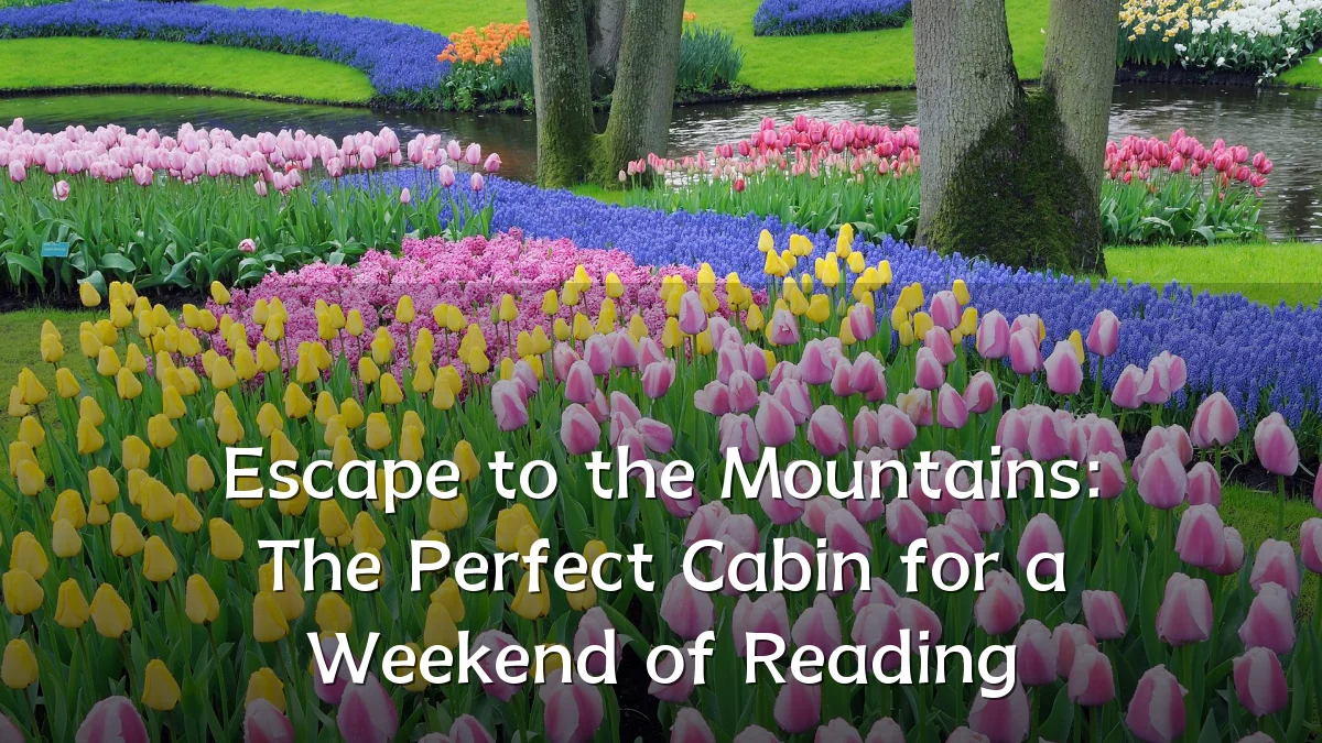 Escape to the Mountains: The Perfect Cabin for a Weekend of Reading