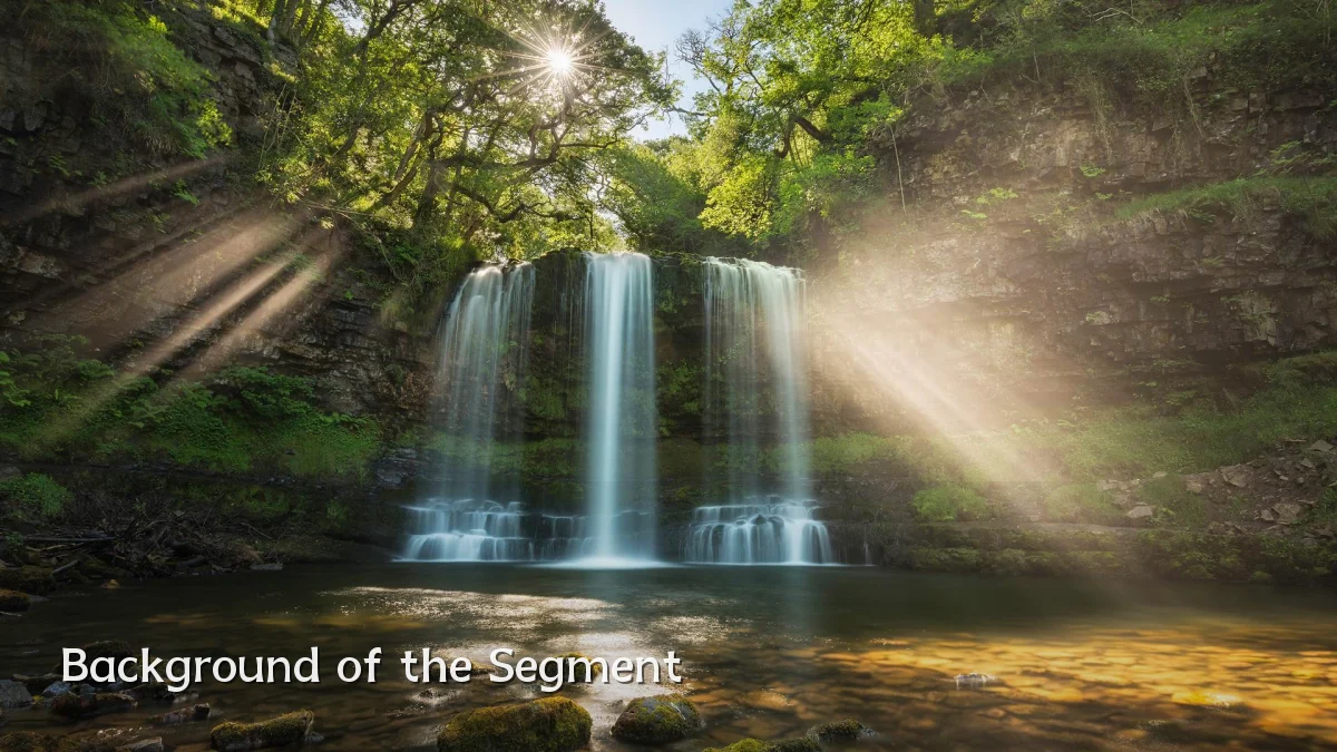 Background of the Segment