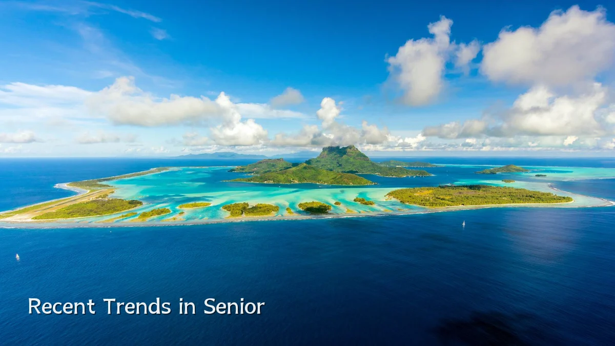 Recent Trends in Senior
