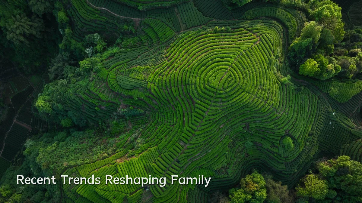 Recent Trends Reshaping Family