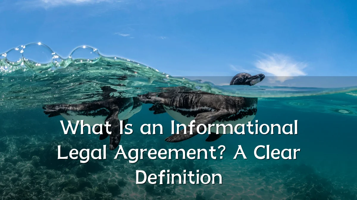 What Is an Informational Legal Agreement? A Clear Definition