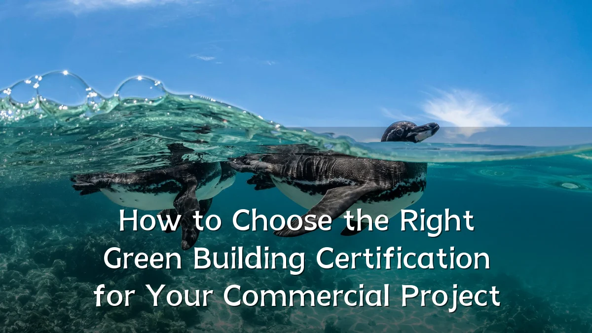 How to Choose the Right Green Building Certification for Your Commercial Project