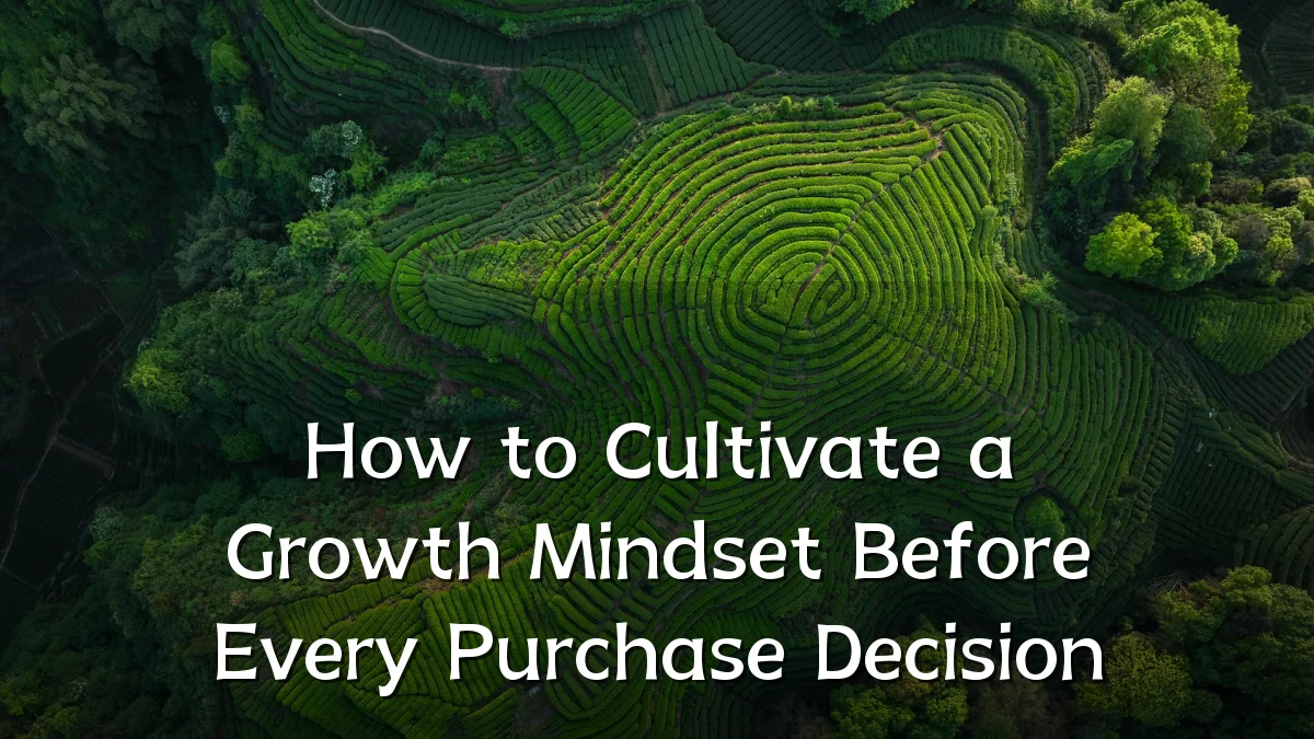 How to Cultivate a Growth Mindset Before Every Purchase Decision