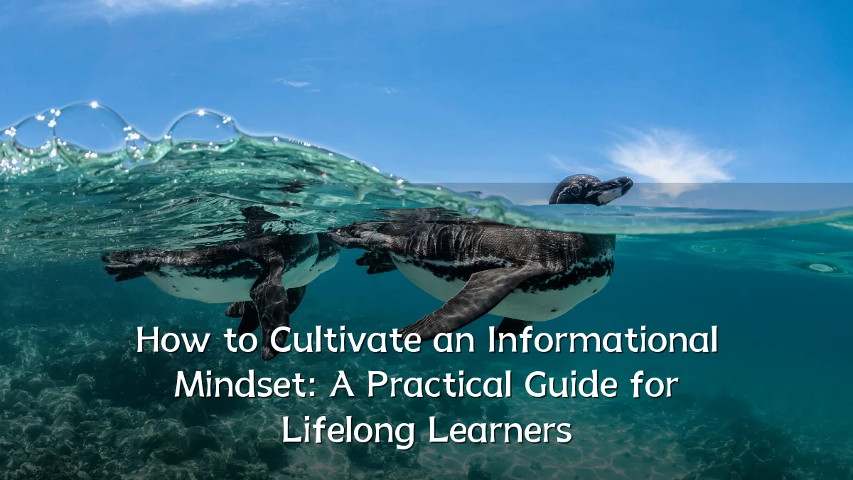How to Cultivate an Informational Mindset: A Practical Guide for Lifelong Learners