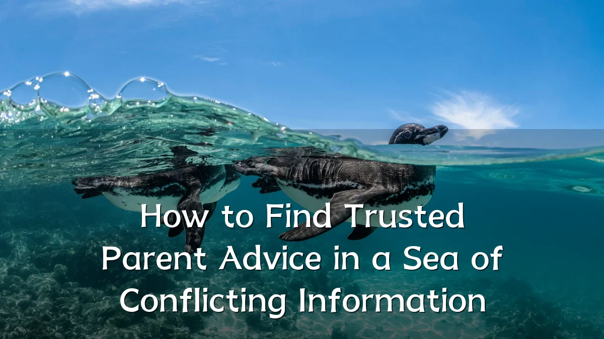 How to Find Trusted Parent Advice in a Sea of Conflicting Information