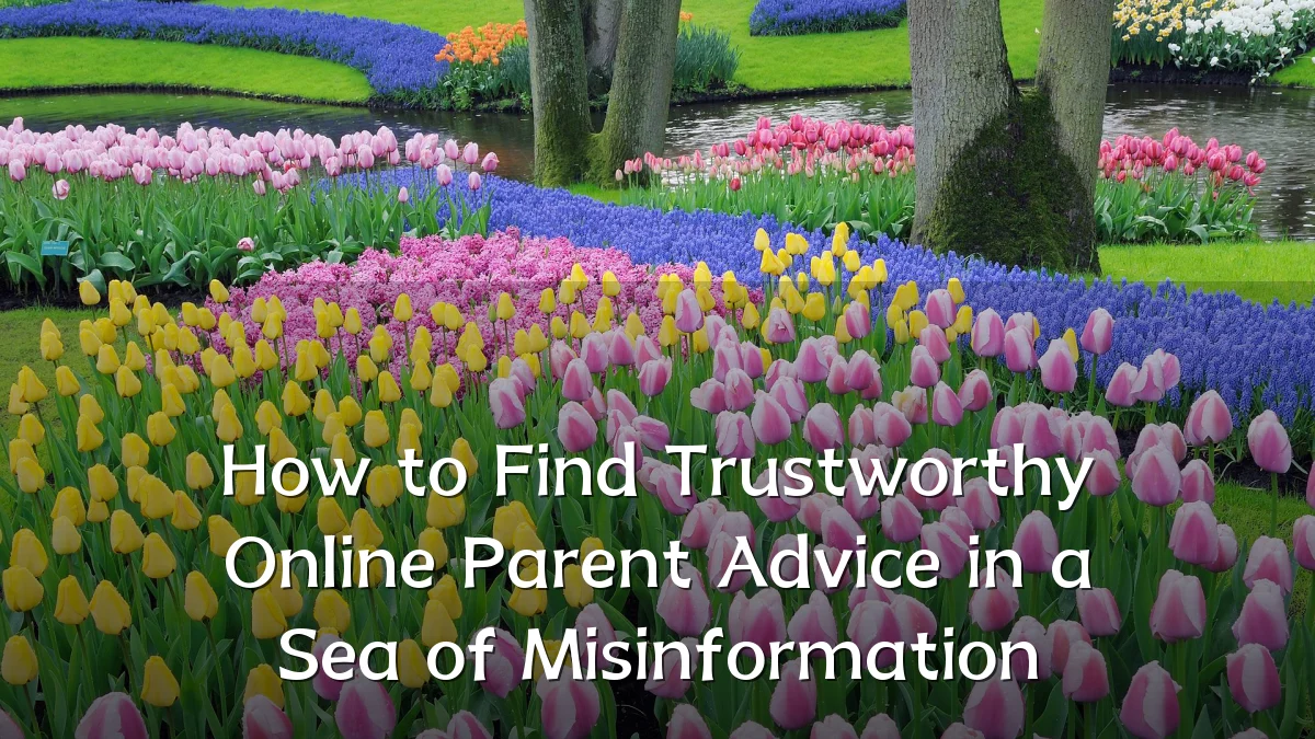 How to Find Trustworthy Online Parent Advice in a Sea of Misinformation