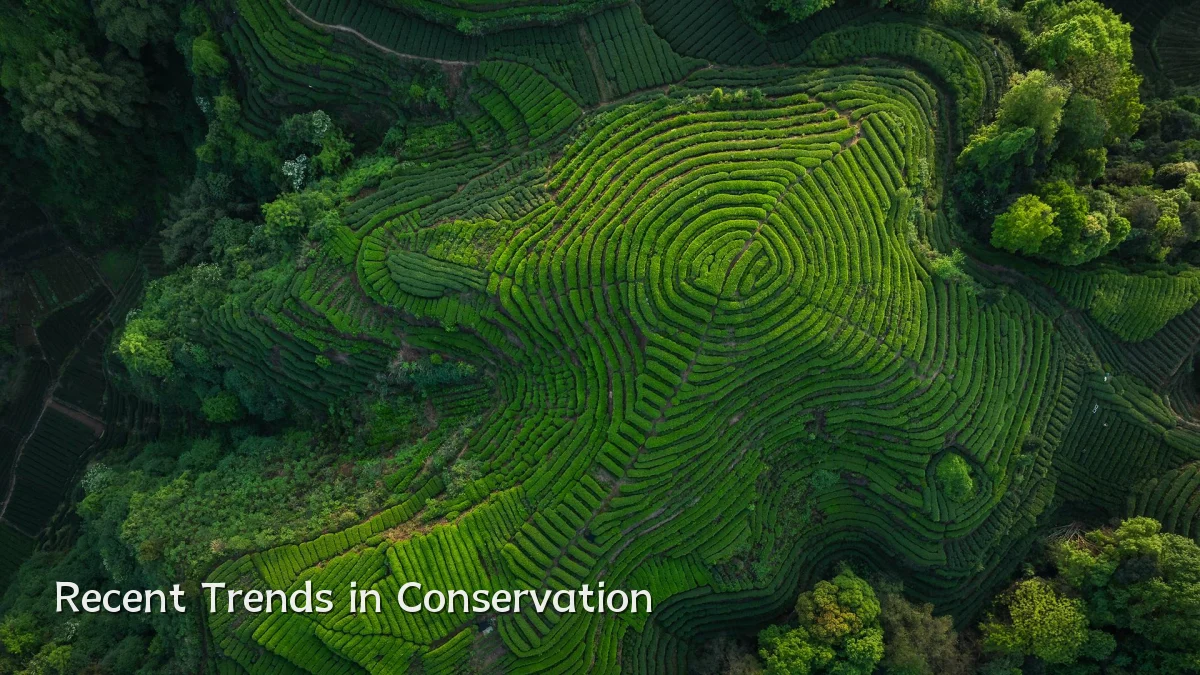 Recent Trends in Conservation