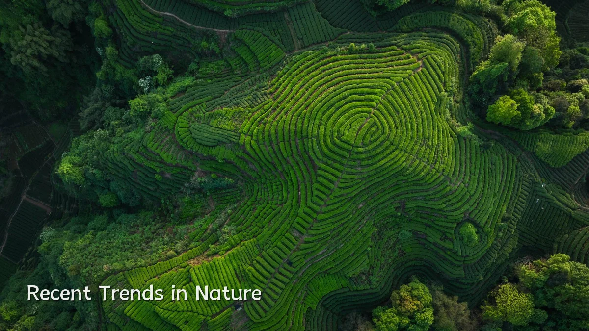 Recent Trends in Nature