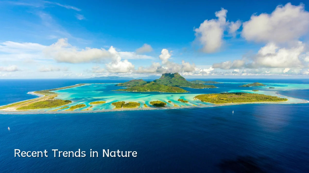 Recent Trends in Nature