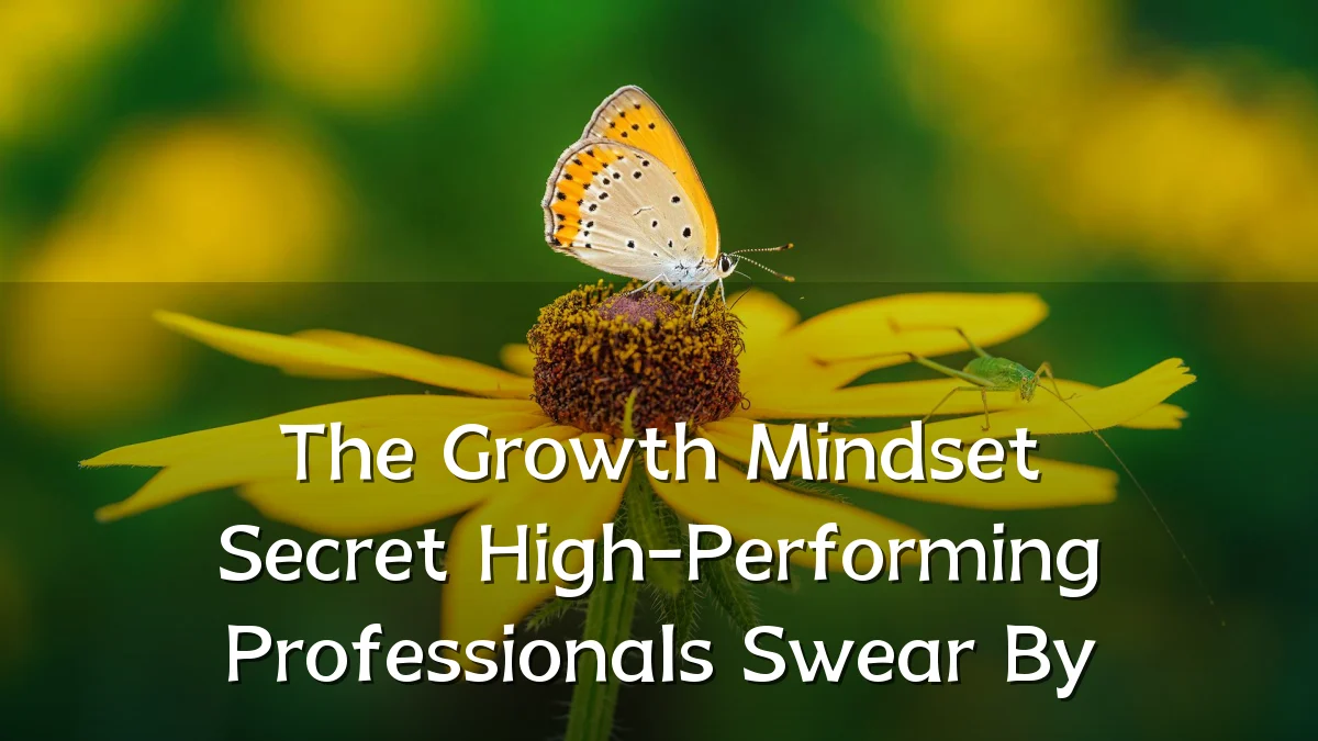 The Growth Mindset Secret High-Performing Professionals Swear By