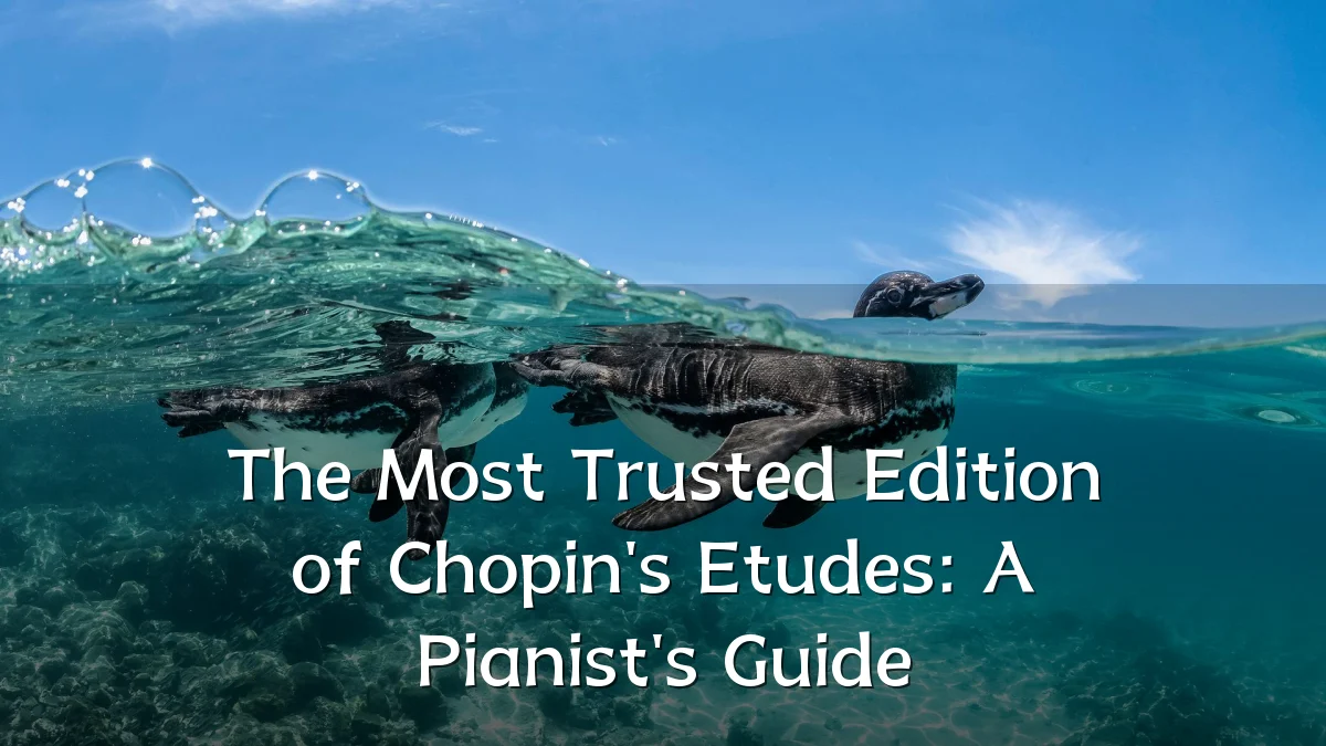 The Most Trusted Edition of Chopin's Etudes: A Pianist's Guide