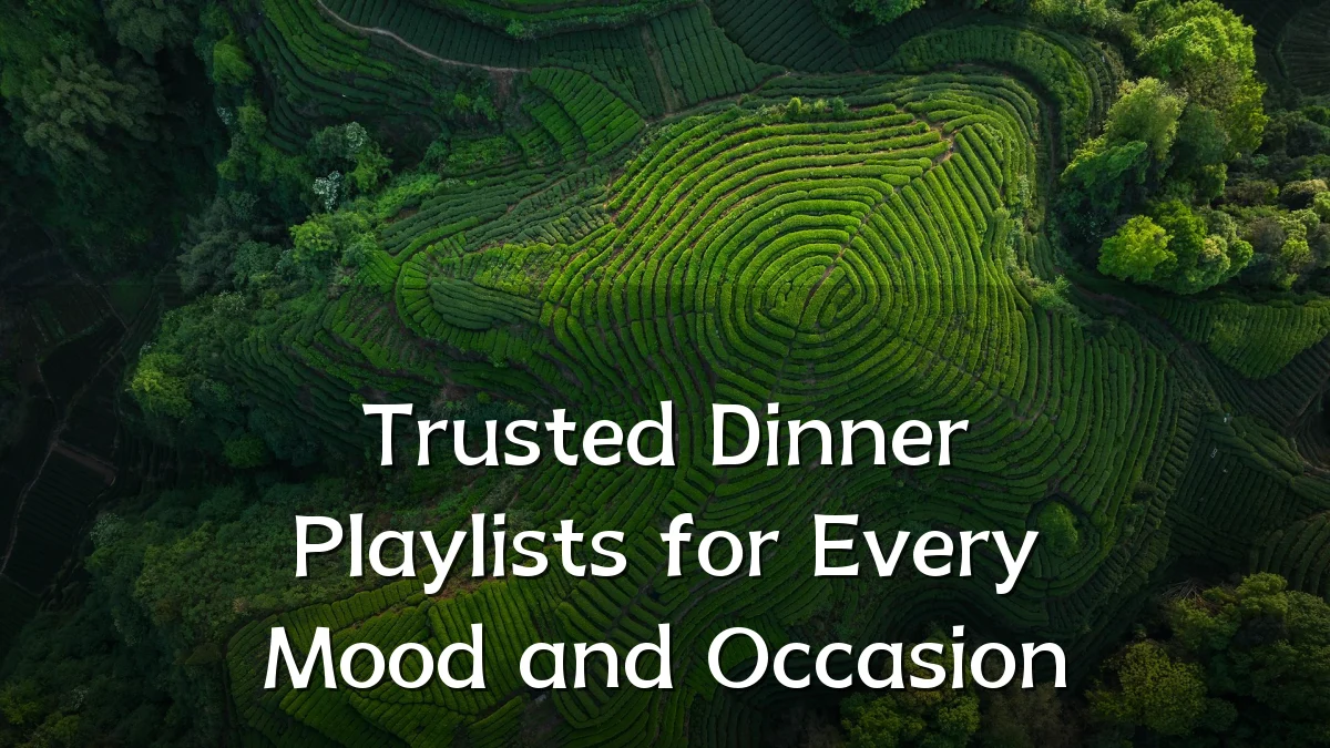 Trusted Dinner Playlists for Every Mood and Occasion