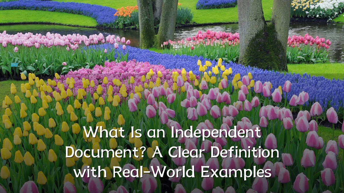 What Is an Independent Document? A Clear Definition with Real-World Examples