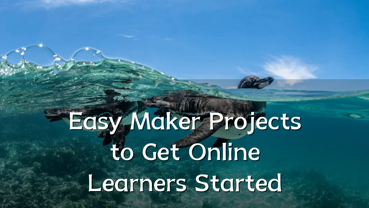 Easy Maker Projects to Get Online Learners Started