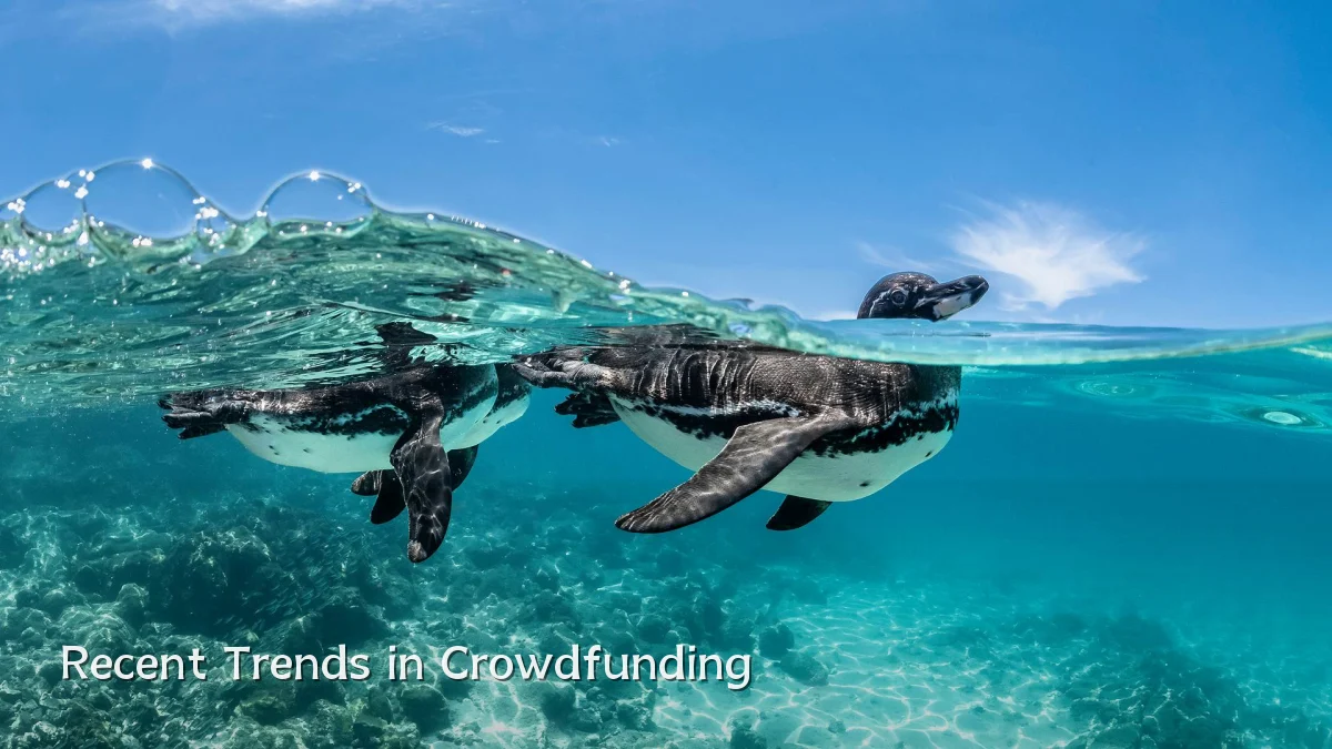 Recent Trends in Crowdfunding