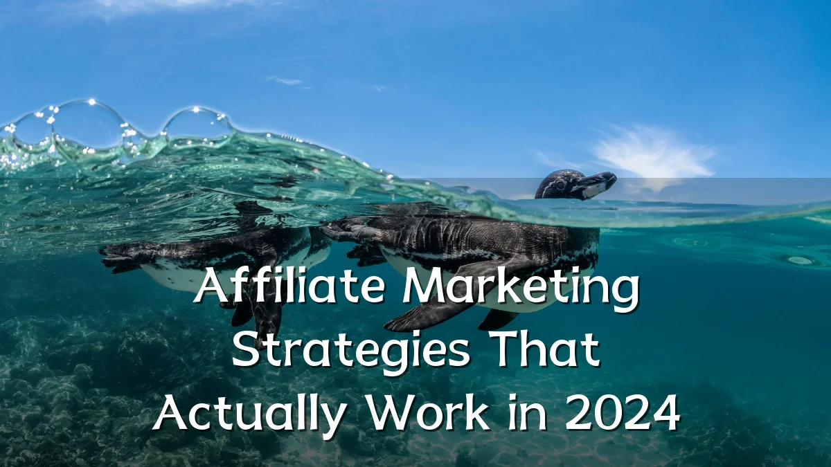Affiliate Marketing Strategies That Actually Work in 2024