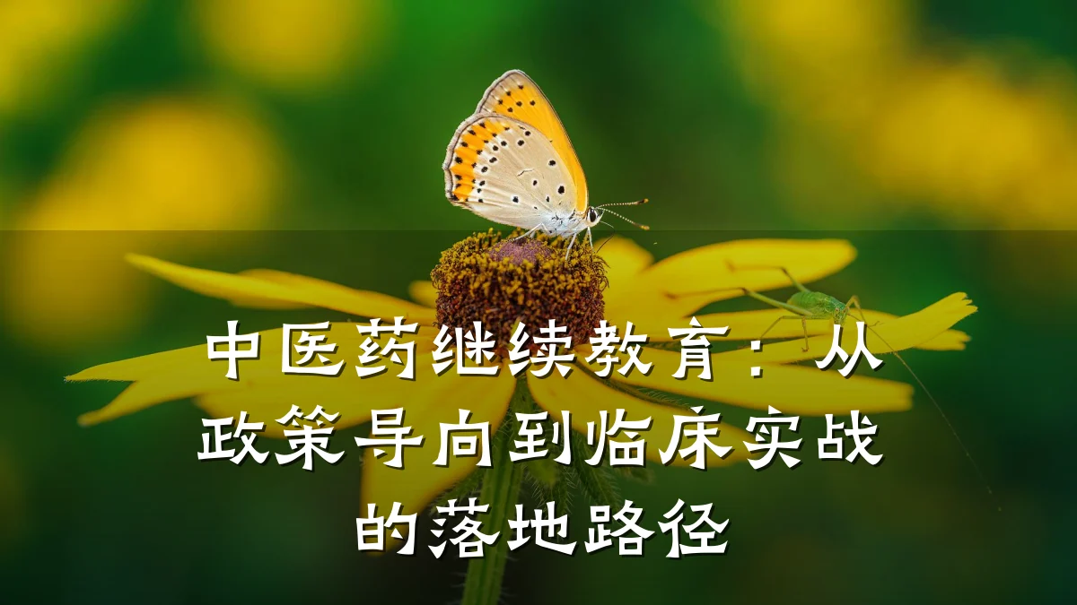 中医药继续教育：从政策导向到临床实战的落地路径