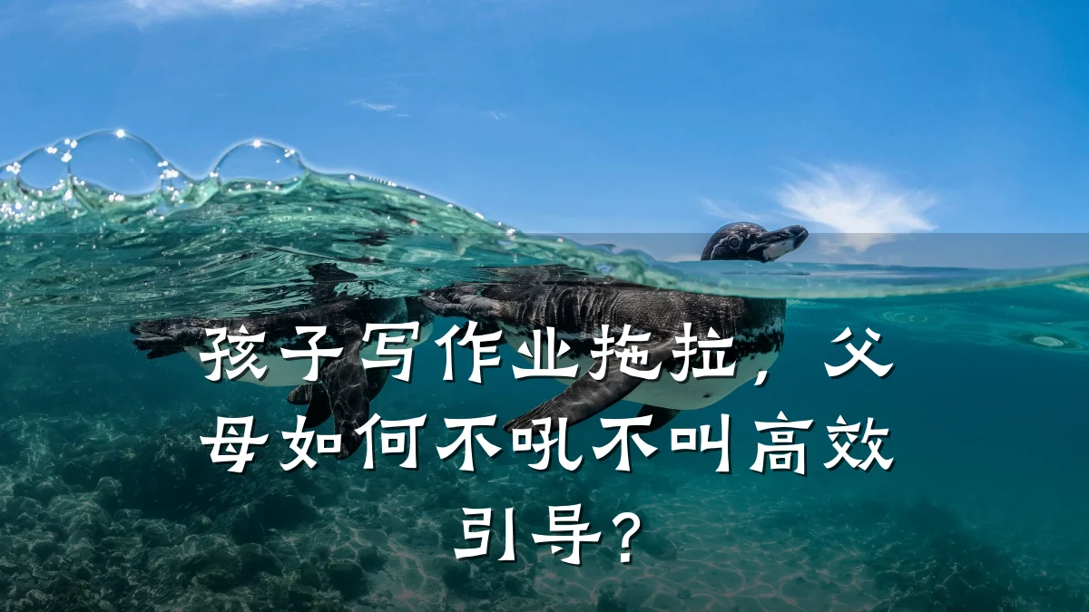 孩子写作业拖拉,父母如何不吼不叫高效引导?