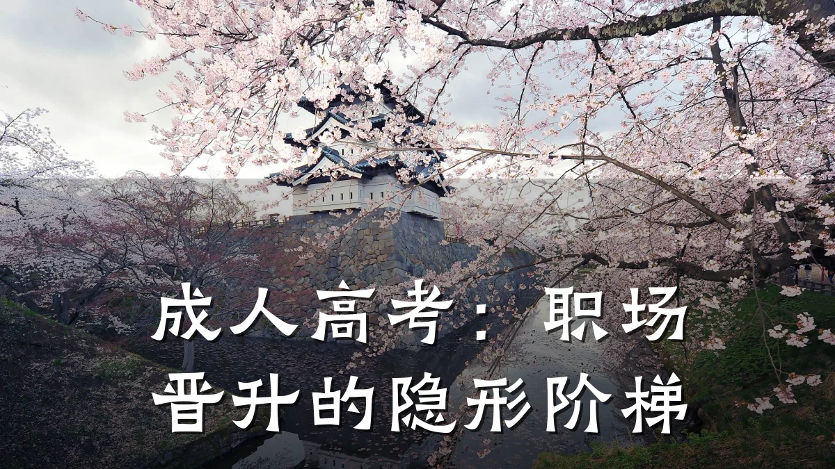 成人高考:职场晋升的隐形阶梯