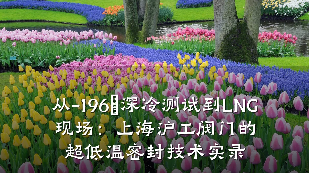 从-196℃深冷测试到LNG现场:上海沪工阀门的超低温密封技术实录