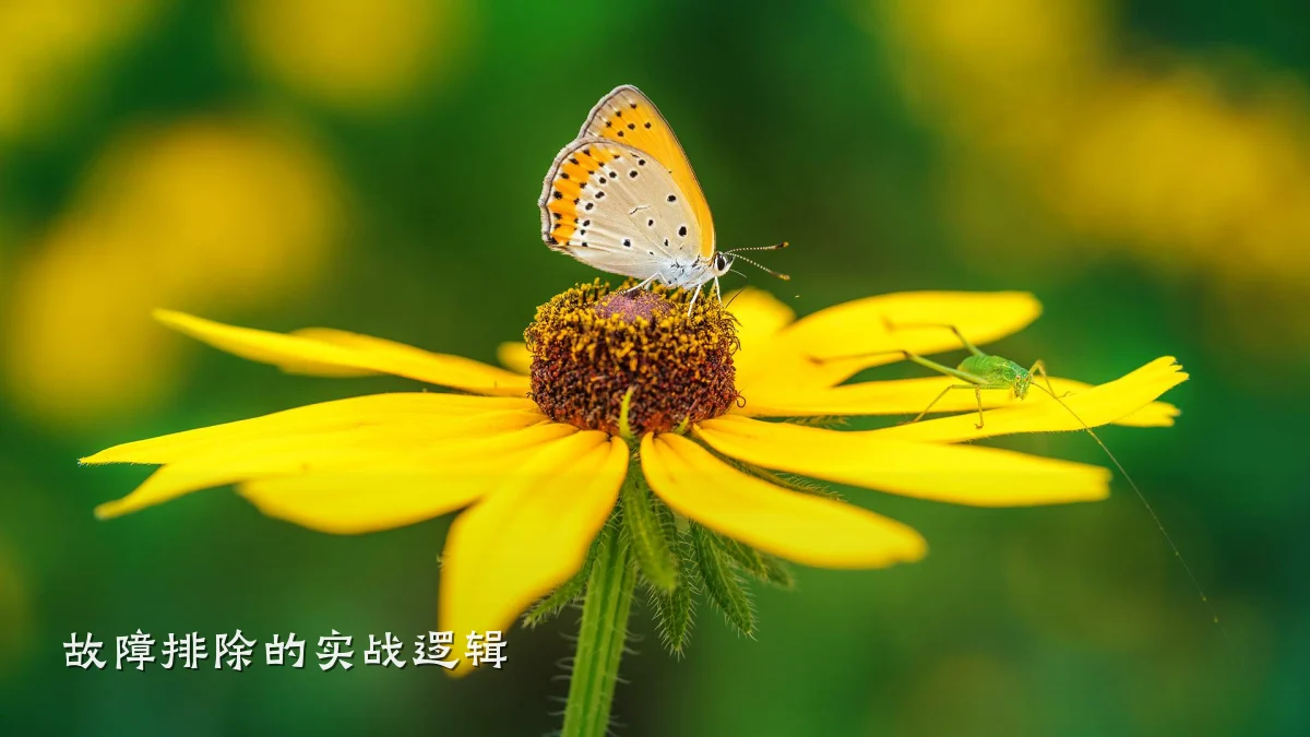 故障排除的实战逻辑