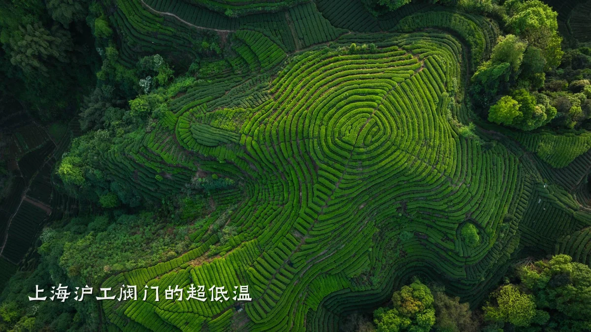 上海沪工阀门的超低温